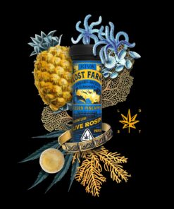 Golden Pineapple Gummies