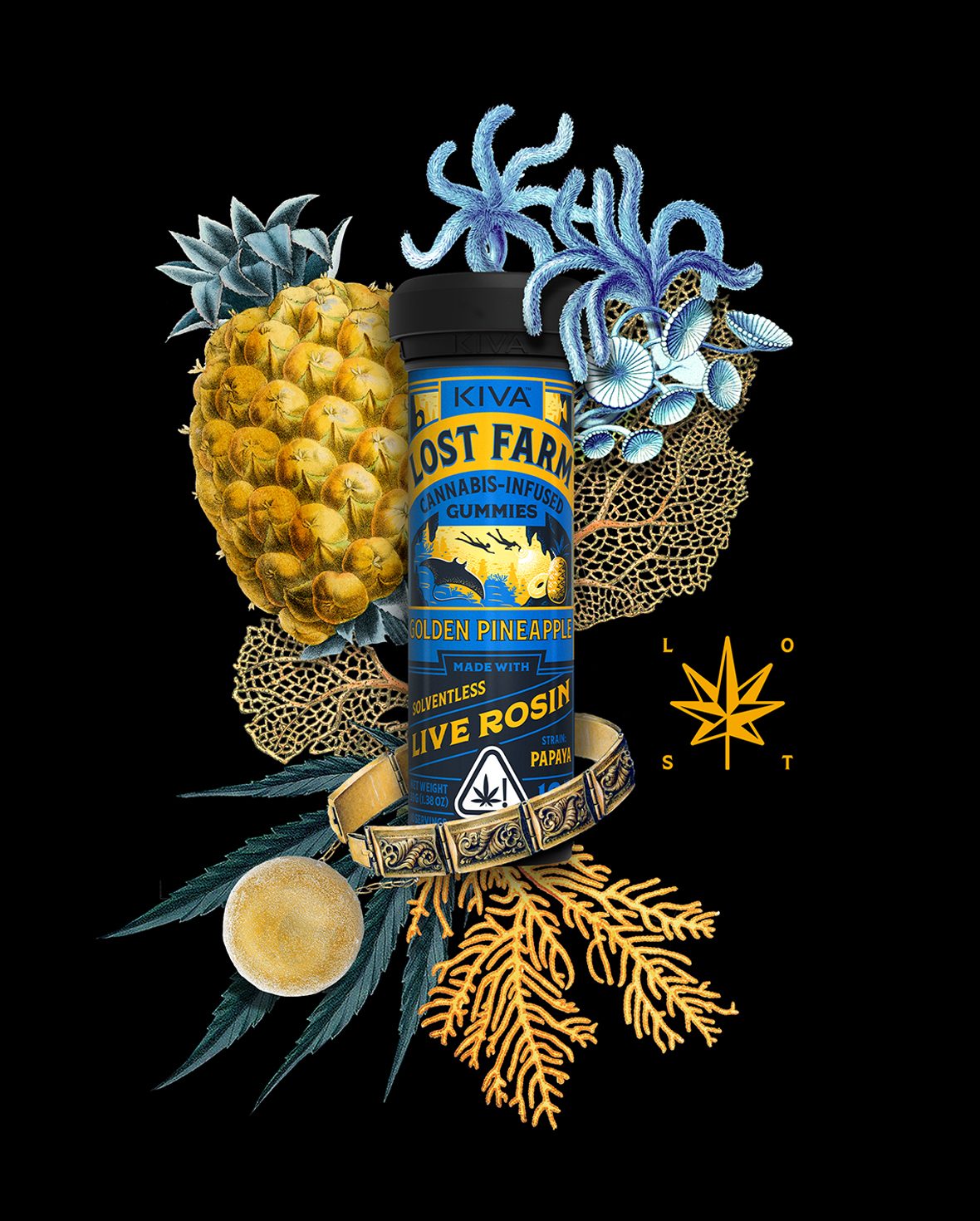Golden Pineapple Gummies 1 Golden Pineapple Gummies
