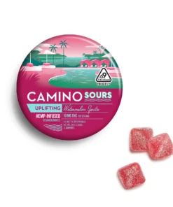 Camino Sours Watermelon Spritz Uplifting