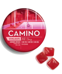 Camino Wild Cherry CBG Exhilarate Gummies