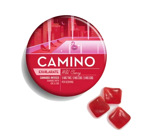 Camino Wild Cherry CBG Exhilarate Gummies