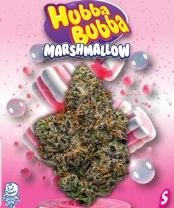 Hubba Bubba 2G