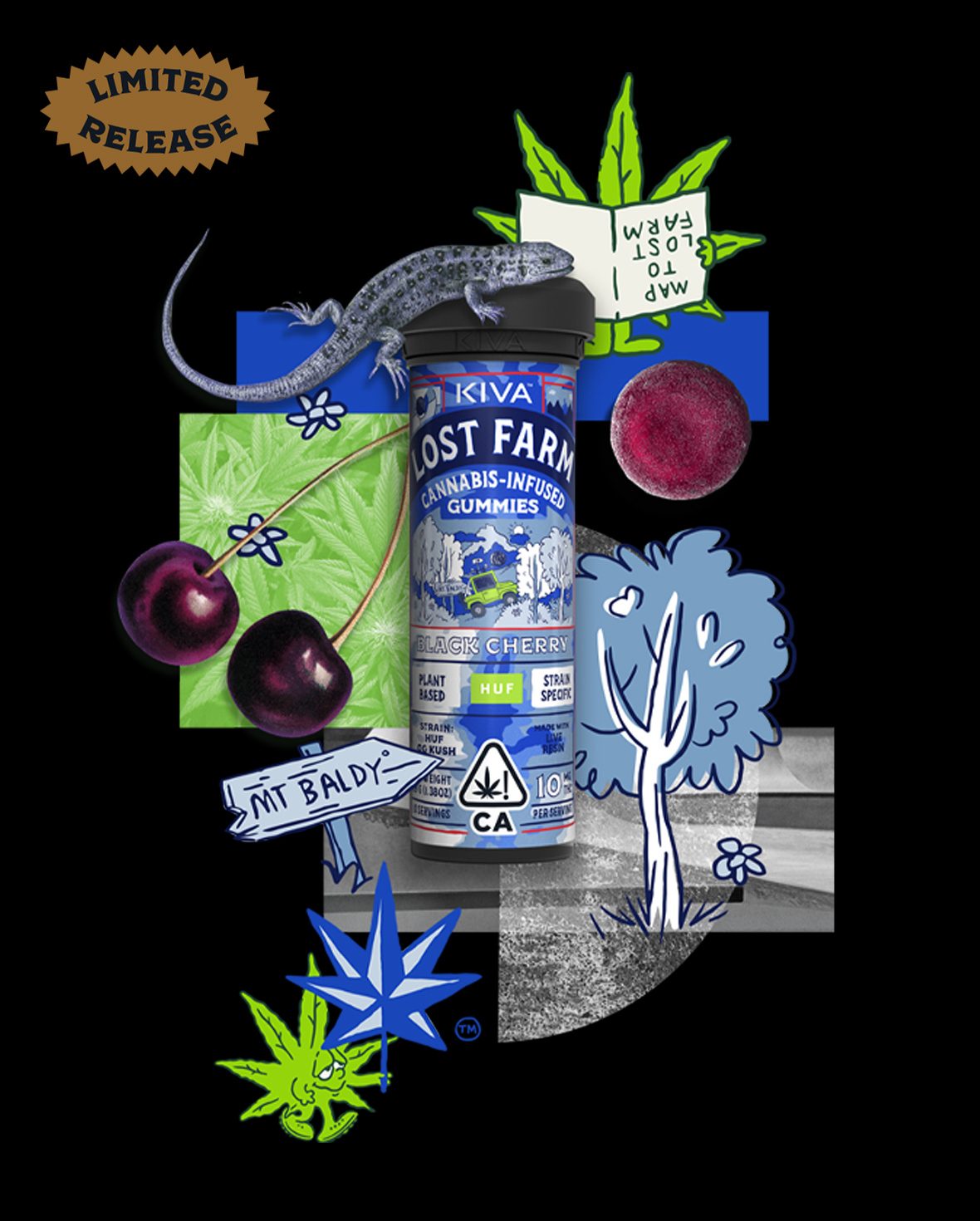 Black Cherry THC Gummies 1 Black Cherry THC Gummies