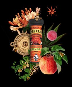 Honey Apple Cannabis Gummies