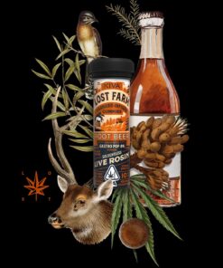 Root Beer THC Gummies