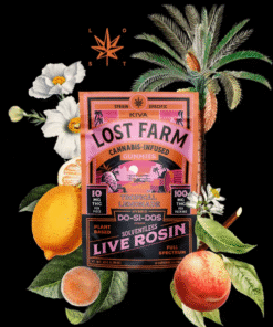 Tropical Lemonade Gummies