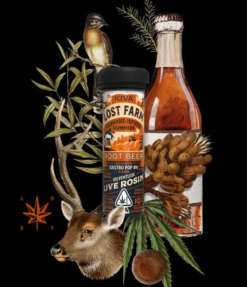 Root Beer Gastro Pop 1 Root Beer Gastro Pop