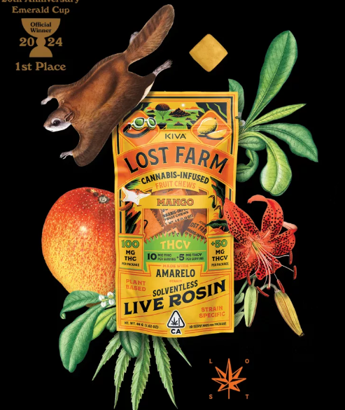 THCV Mango Chews 1 THCV Mango Chews