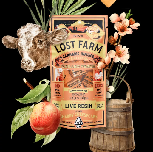 Grilled Peach Cherry Cheesecake 1 Grilled Peach Cherry Cheesecake