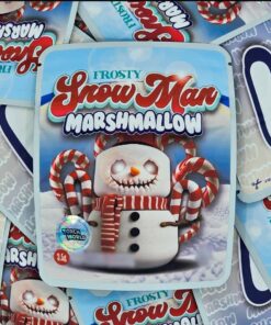 Frosty Snowman Marshmallow 2K